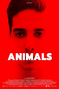 Animals Animals