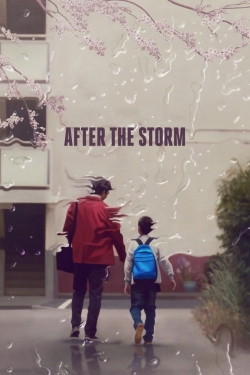 After the Storm After the Storm