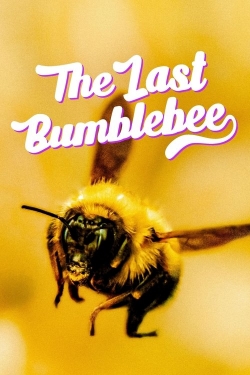 The Last Bumblebee The Last Bumblebee