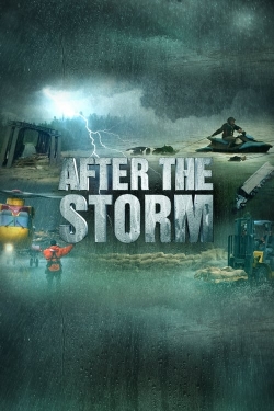 After the Storm After the Storm
