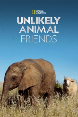 Unlikely Animal Friends Unlikely Animal Friends