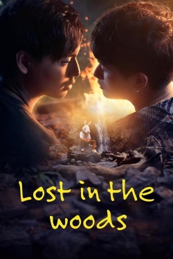 Lost in the Woods Lost in the Woods