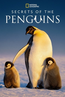 Secrets of the Penguins Secrets of the Penguins