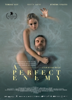 A Perfect Enemy A Perfect Enemy