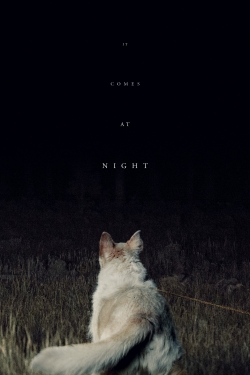It Comes at Night It Comes at Night