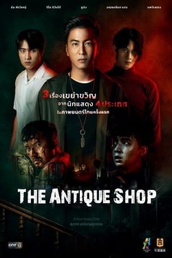 The Antique Shop The Antique Shop