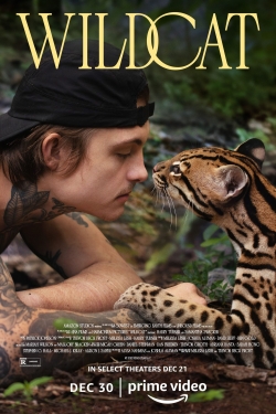 Wildcat Wildcat