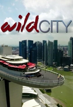 Wild City Wild City