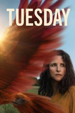 Tuesday Tuesday