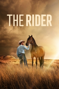 The Rider The Rider