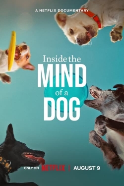 Inside the Mind of a Dog Inside the Mind of a Dog