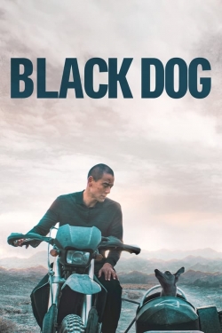 Black Dog Black Dog