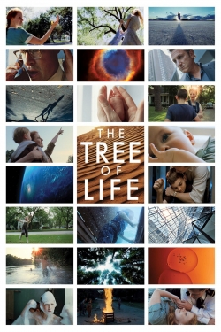 The Tree of Life The Tree of Life