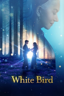 White Bird White Bird