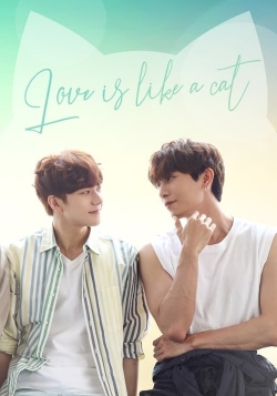 Love Is Like A Cat Love Is Like A Cat