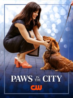Paws in the City Paws in the City