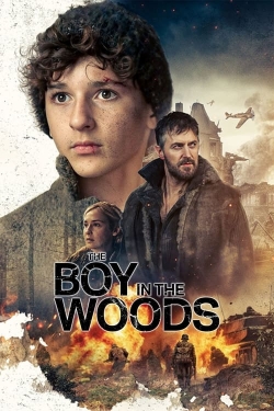 The Boy in the Woods The Boy in the Woods