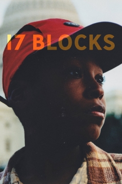 17 Blocks 17 Blocks