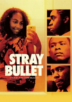 Stray Bullet Stray Bullet