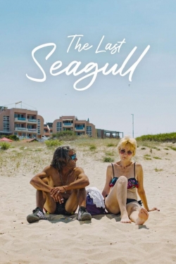 The Last Seagull The Last Seagull