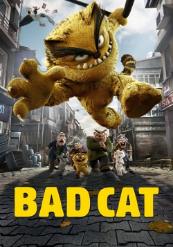 Bad Cat Bad Cat
