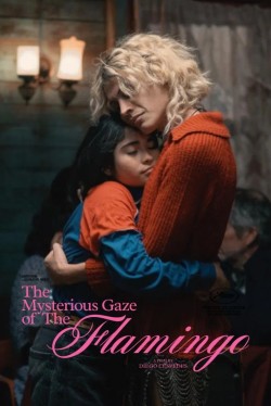 The Mysterious Gaze of the Flamingo The Mysterious Gaze of the Flamingo