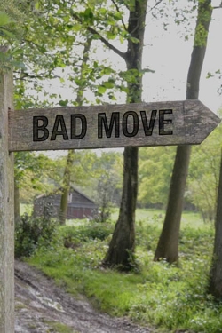 Bad Move Bad Move