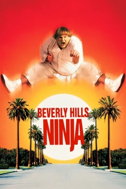 Beverly Hills Ninja Beverly Hills Ninja