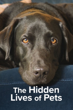 The Hidden Lives of Pets The Hidden Lives of Pets