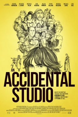 An Accidental Studio An Accidental Studio