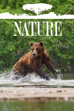 Nature Nature