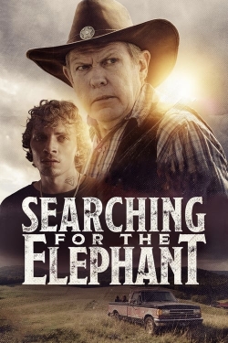 Searching for the Elephant Searching for the Elephant