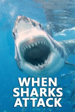 When Sharks Attack When Sharks Attack