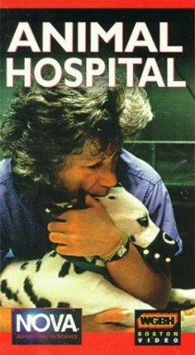 Animal Hospital Animal Hospital