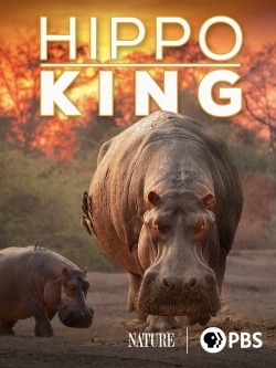 Hippo King Hippo King