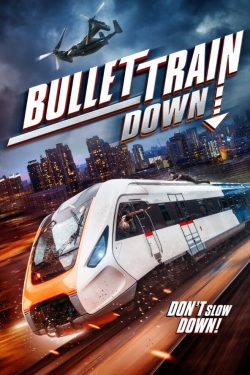 Bullet Train Down Bullet Train Down