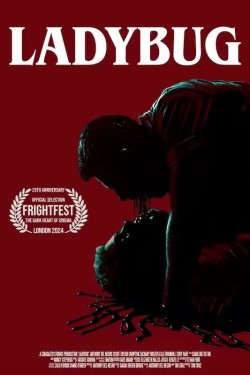 Ladybug Ladybug