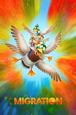 Migration Migration