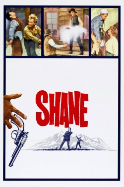 Shane Shane