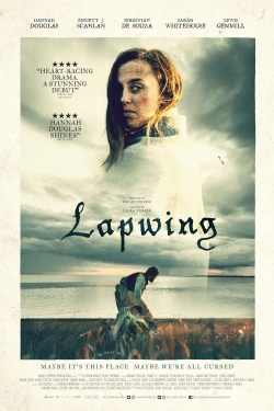 Lapwing Lapwing