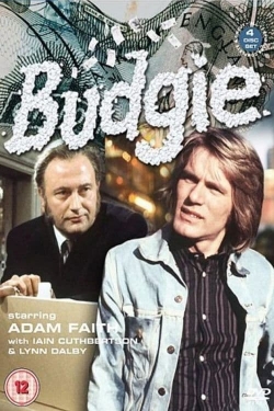 Budgie Budgie