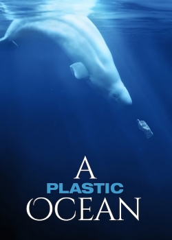 A Plastic Ocean A Plastic Ocean