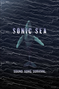 Sonic Sea Sonic Sea