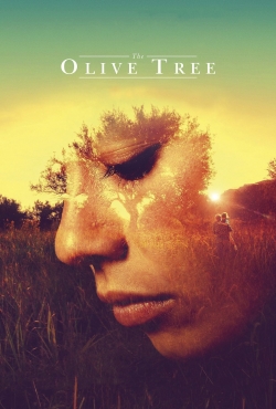 The Olive Tree The Olive Tree
