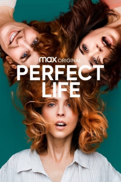 Perfect Life Perfect Life