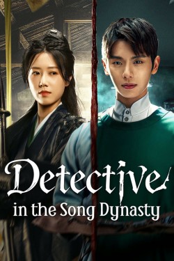 Detective in the Song Dynasty Detective in the Song Dynasty