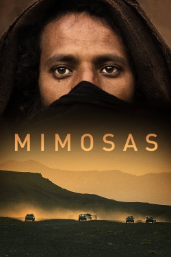 Mimosas Mimosas