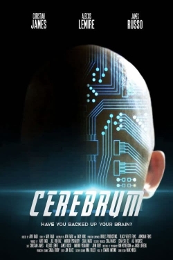 Cerebrum Cerebrum