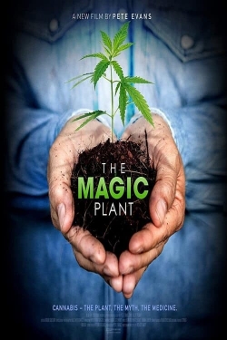 The Magic Plant The Magic Plant