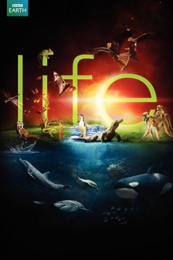 Life Life